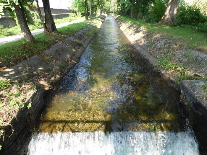 Lepidotteri del Parco del Roccolo